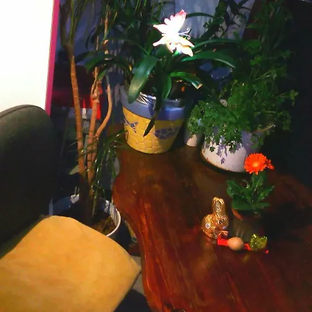 Homestay szállás Citycentre For 1 Female Persons - Alternative 1 Child Frankfurt am Main