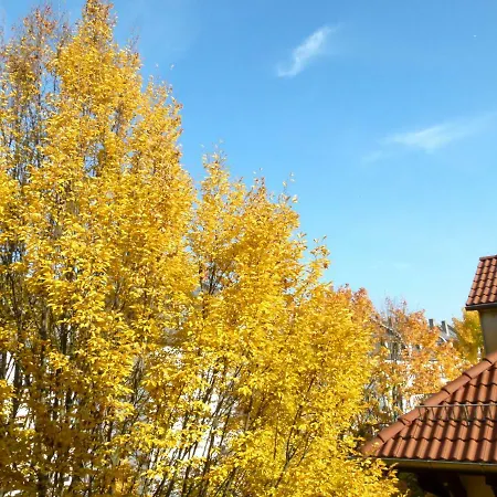 Citycentre For 1 Female Persons - Alternative 1 Child