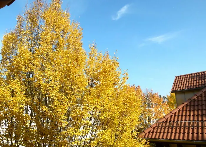 Citycentre For 1 Female Persons - Alternative 1 Child