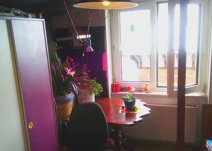 Citycentre For 1 Female Persons - Alternative 1 Child Privatunterkunft *