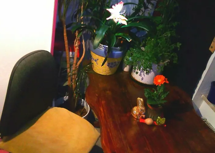 Privatunterkunft Citycentre For 1 Female Persons - Alternative 1 Child Frankfurt am Main