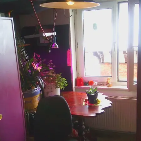 Citycentre For 1 Female Persons - Alternative 1 Child Ubytování v soukromí *